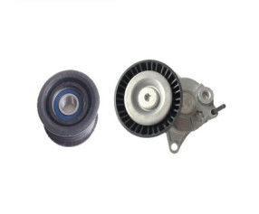The tensioner pulley is suitable for vehicles such as Mercedes-Benz, BMW, Chrysler and Dodge.  OE000 202 09 19