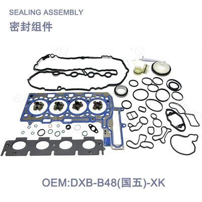 Kit di riparazione del set di guarnizioni del motore OE:DXB-B48-XK Per B48